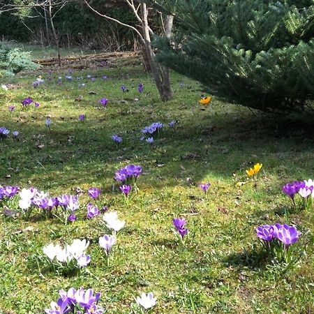 ByalobereskaНа Галіції别墅 外观 照片